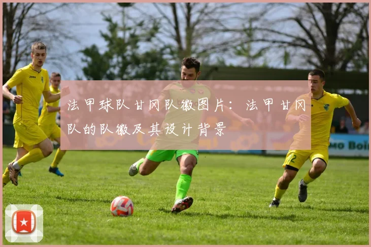 法甲球队甘冈队徽图片：法甲甘冈队的队徽及其设计背景