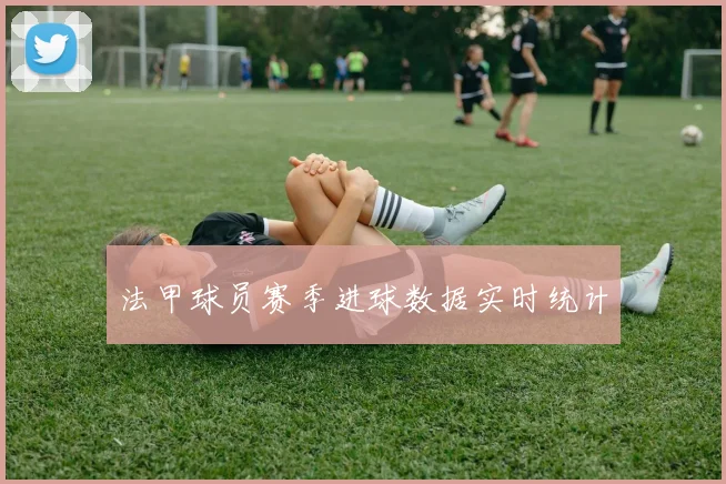 法甲球员赛季进球数据实时统计