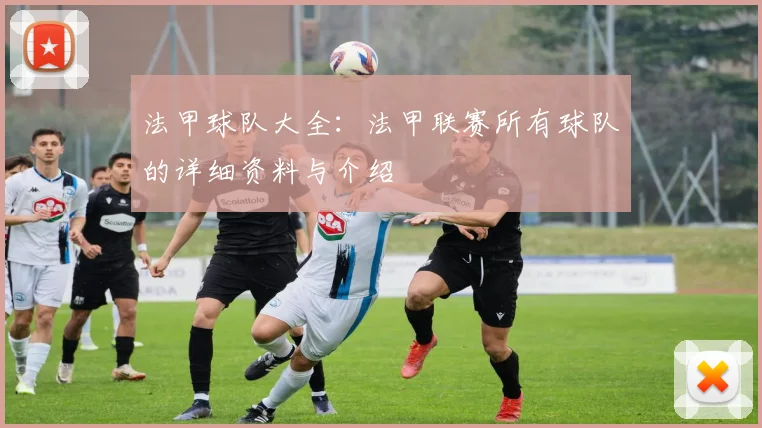 法甲球队大全：法甲联赛所有球队的详细资料与介绍